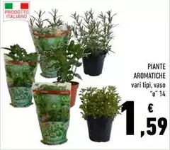 Piante Aromatiche Piante Aromatiche