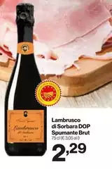 Brut - Lambrusco Di Sorbara DOP Spumante Brut - Lambrusco Di Sorbara DOP Spumante