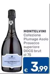 Montelvini - Collezione Plumage Asolo Prosecco Superiore DOCG Brut Montelvini - Collezione Plumage Asolo Prosecco Superiore DOCG Brut