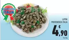 Lupini Provenienza Italia