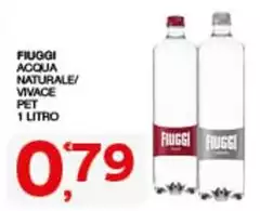 Fiuggi - Acqua Naturale/ Vivace Pet