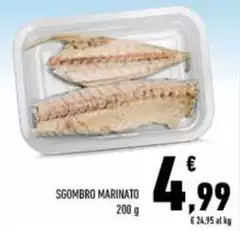 Sgombro Marinato Sgombro Marinato