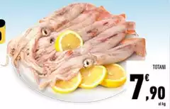Totani Totani