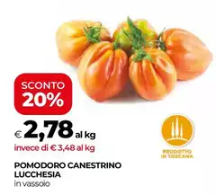 Pomodoro Canestrino Pomodoro Canestrino