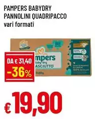Pampers - Babydry Pannolini Quadripacco