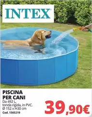 Intex - Piscina Per Cani Intex - Piscina Per Cani