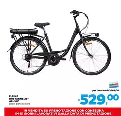 E-Bike Bretagne 26" Alu 6"