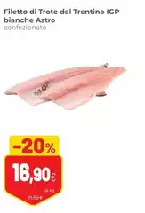 Trentino - Filetto Di Trote Del IGP Bianche Astro Trentino - Filetto Di Trote Del IGP Bianche Astro
