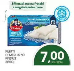 Findus - Filetti Di Merluzzo Findus - Filetti Di Merluzzo
