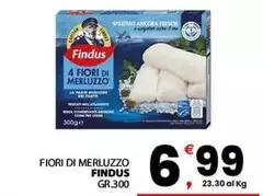 Findus - Fiori Di Merluzzo