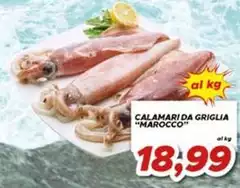 Calamari Da Griglia "Marocco" Calamari Da Griglia "Marocco"