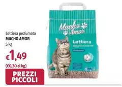 Mucho Amor - Lettiera Profumata