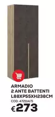Armadio 2 Ante Battenti L88XP55XH238Cm