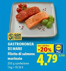 Gastronomia Di Mare - Filetto Di Salmone Marinato