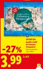 Ocean Sea - Anelli E Ciuffi Di Calamaro Patagonico