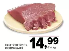 Filetto Di Tonno Decongelato