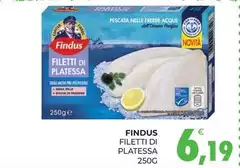 Findus - Filetti Di Platessa