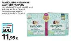 Pampers - Pannolini O Mutandine Baby-Dry