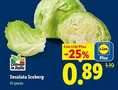 Insalata Iceberg Insalata Iceberg