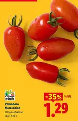 Pomodoro Marzantino Pomodoro Marzantino