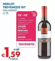 Galadino - Merlot Trevenezie IGT
