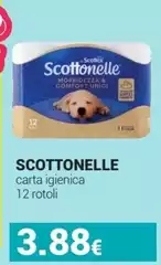 Scottex - Carta Igienica Scottex - Carta Igienica