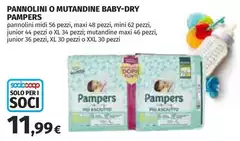 Pampers - Pannolini O Mutandine Baby Dry