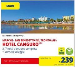 Mare - San Benedetto Del Tronto (ap) Hotel Canguro