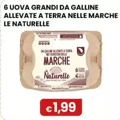 Le Naturelle - 6 Uova Grandi Da Galline Allevate A Terra Nelle Marche 