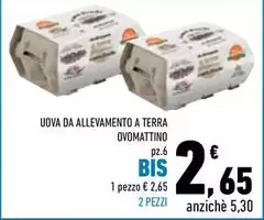 Ovo mattino - Uova Da Allevamento A Terra