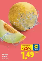 Melone Galkia Melone Galkia
