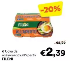 Fileni - 6 Uova Da Allevamento All'Aperto