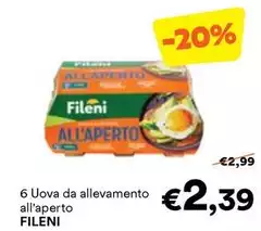 Fileni - 6 Uova Da Allevamento All'Aperto