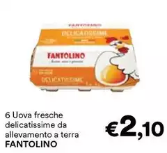 Fantolino - 6 Uova Fresche Delicatissime Da Allevamento A Terra