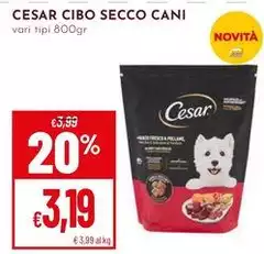 Cesar - Secco Cani Cesar - Secco Cani