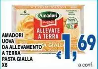 Amadori - Uova Da Allevamento A Terra Pasta Gialla