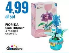Fiori Da Cosruire