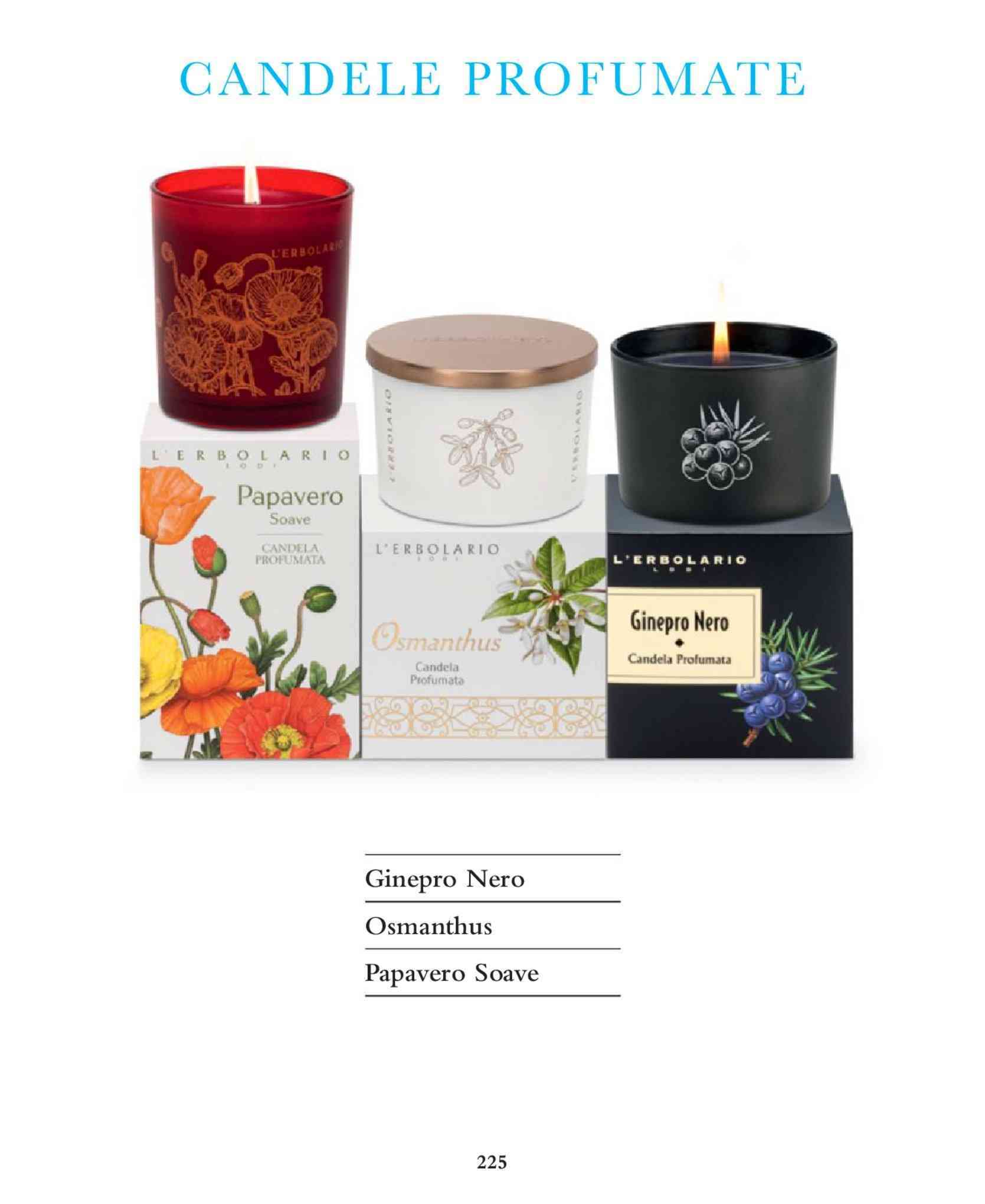 Knorr Prandell - Scatola In Legno Con Chiusura In Ottone | Mondo Artista