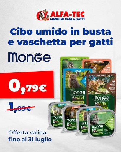Nuove offerte da scoprire Nuove offerte da scoprire