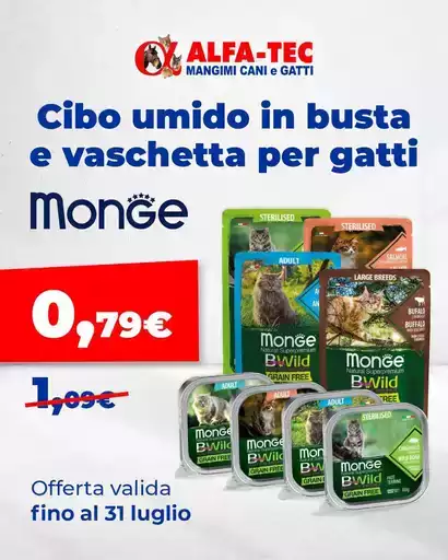 Nuove offerte da scoprire