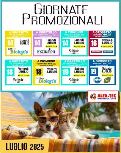 Scopri offerte attraenti