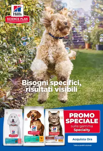 Promo speciale Promo speciale
