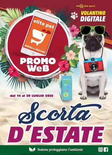 Scorta d'estate