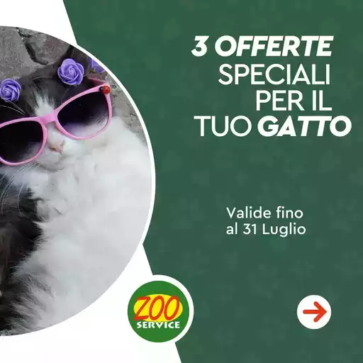 3 offerte speciali per il tuo gatto