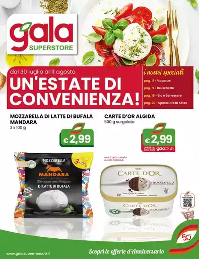 Un'estate di convenienza Un'estate di convenienza