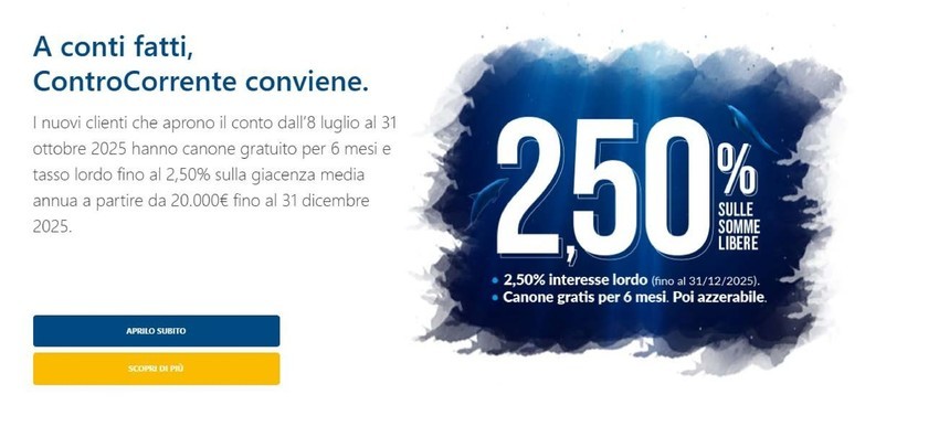 2,50% 2,50%