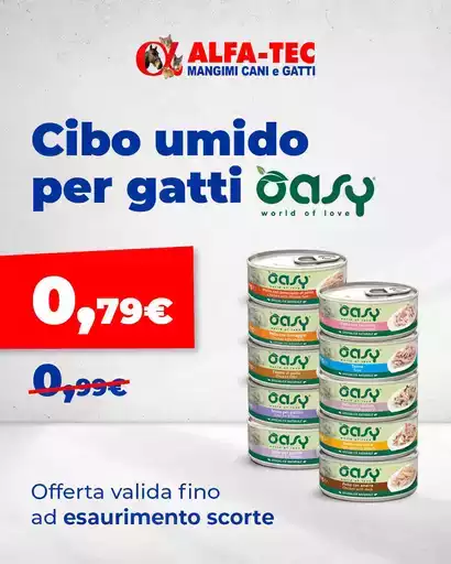 Offerte per cacciatori di affari Offerte per cacciatori di affari