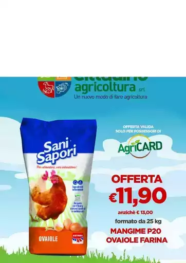 Offerte