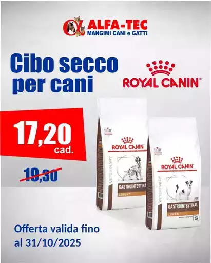 Offerte esclusive e affari Offerte esclusive e affari