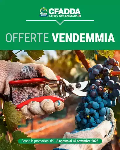 Offerte vendemmia Offerte vendemmia